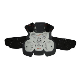  ПРОТЕКТОР ALPINESTARS A-4 Max