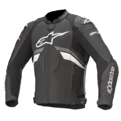  ЯКЕ ALPINESTARS GP Plus R v3 Black/White