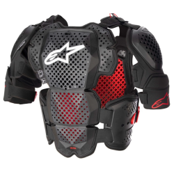  ПРОТЕКТОР ALPINESTARS A-10 V2 Black/Anthracite