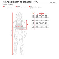  ПРОТЕКТОР ALPINESTARS A-4 Plasma