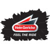 HEIN GERICKE