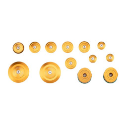 PUIG ALUMINUM FRAME CAPS BMW R1250 R 18-24 GOLD